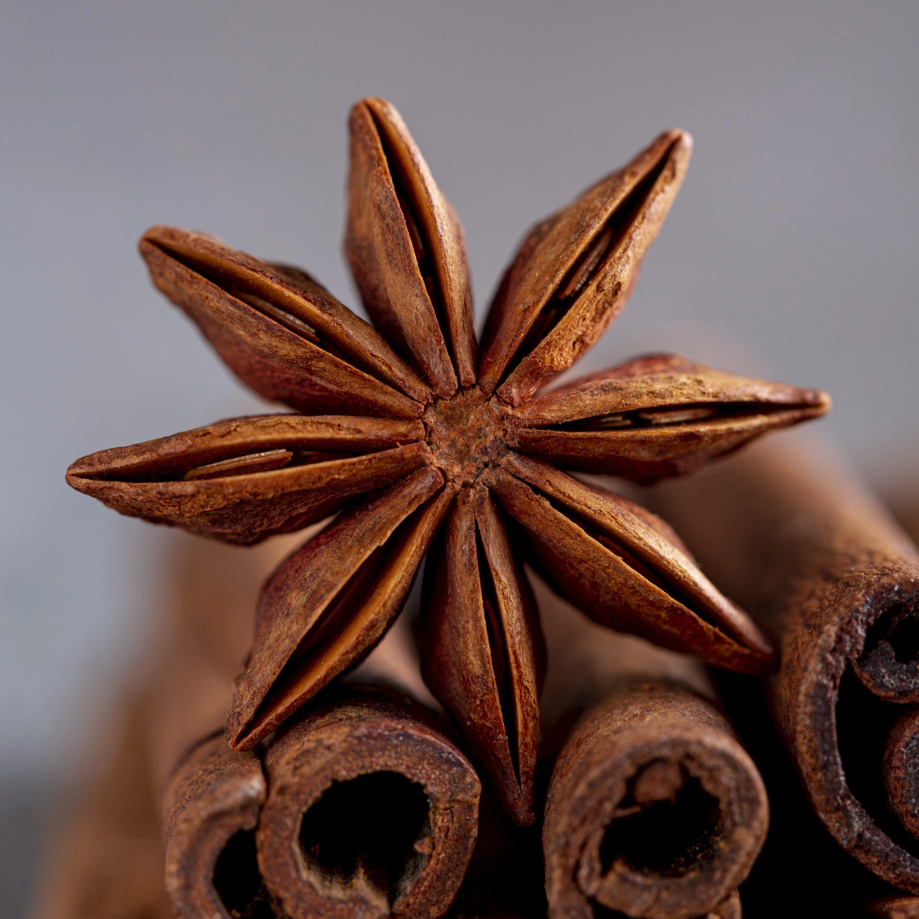 star-anise